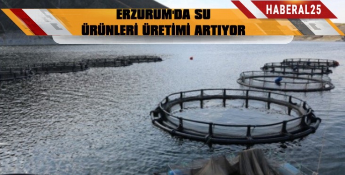 Erzurum'da Su Ürünleri Üretimi 968 Ton Artacak