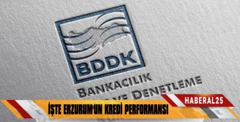 Erzurum’un Kredi Performansı Açıklandı
