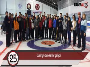  Curlinge taze kanlar geliyor 