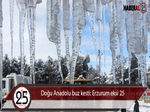 Doğu Anadolu buz kesti: Erzurum eksi 25 