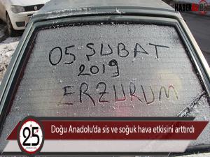 Doğu Anadoluda sis ve soğuk hava etkisini arttırdı 