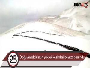 Doğu Anadolu'nun yüksek kesimleri beyaza büründü 