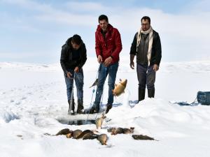 Donan Nazik Gölünde Eskimo usulü balık avı