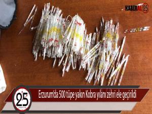  Erzurumda 500 tüpe yakın Kobra yılanı zehri ele geçirildi 