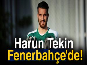 Harun Tekin Fenerbahçe'de! Harun Tekin kimdir?