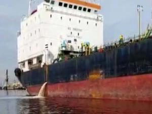 İzmit Körfezini kirleten gemiye 635 bin TL ceza