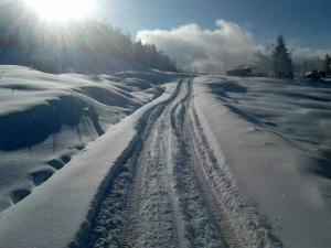  Sakarya'da donan göl üzerinde eğlendiler