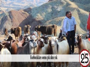 Kurbanlıkları soran çok alan yok