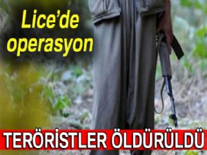 Lice'deki operasyonda 3 terörist öldürüldü