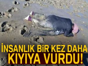 İnsanlık bir kez daha kıyıya vurdu!