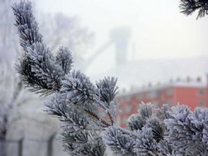  ERZURUM'DA DÜŞEN KIRAĞI