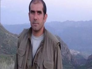PKK'nın üst düzey yöneticisi öldürüldü