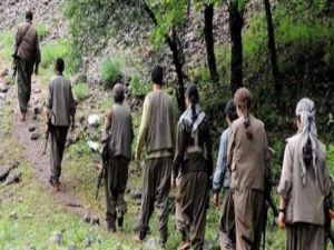 Son bir ayda 240 PKK'lı teslim oldu!