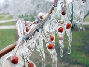 Meteoroloji'den buzlanma ve don uyarısı