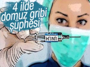 4 ilde domuz gribi şüphesi