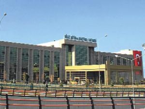 Bir domuz gribi şüphesi de Erzurum'dan