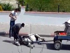 Yorgunluk yığılan atına tekme ve odunla vurdu