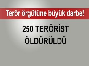 DAEŞ'e büyük darbe! 250 terörist öldürüldü