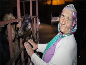 Çalınan keçilerini teslim alan yaşlı kadın duygularına hakim olamadı