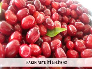 BAKIN NEYE İYİ GELİYOR?