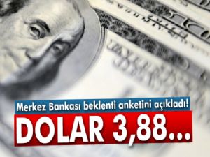 Merkez Bankası beklenti anketini açıkladı! Dolar yıl sonunda...