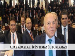 ADAY ADAYLARI İÇİN TEMAYÜL YOKLAMASI