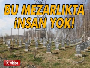 Bu barınakta hayvan mezarlığı var