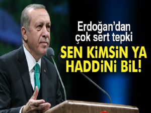 Erdoğan'dan sert tepki: 'Sen kimsin ya! Haddini bil'