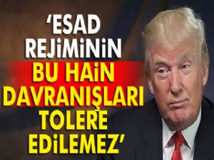 'Esad rejiminin bu hain davranışları tolere edilemez'