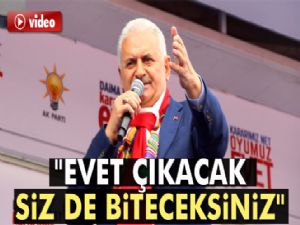 Başbakan Yıldırım: 