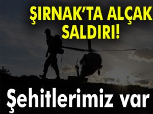 Şırnak'ta güvenlik görevlilerine hain saldırı! |Şırnak'ta çatışma