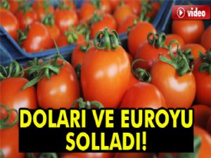 Domates doları da euroyu da solladı