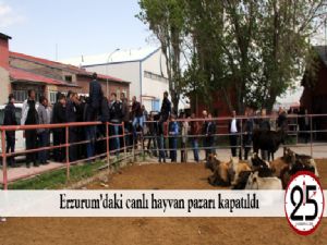  Erzurum'daki canlı hayvan pazarı kapatıldı
