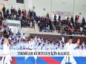  TEKMELER KURTULUŞ İÇİN KALKTI