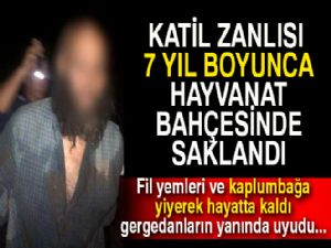 7 yıl hayvanat bahçesinde saklanan katil, fillerin muzlarını çalarak, kaplumbağaları yiyerek hayatta kaldı