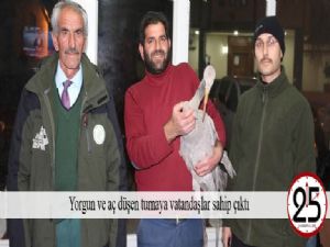  Yorgun ve aç düşen turnaya vatandaşlar sahip çıktı