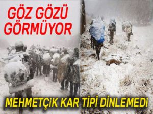 Kato Dağı'nda göz gözü görmüyor |Mehmetçik, kar tipi demiyor