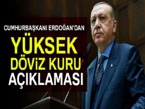 Cumhurbaşkanı Erdoğan'dan yüksek döviz kuru açıklaması