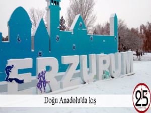   Doğu Anadolu'da kış 