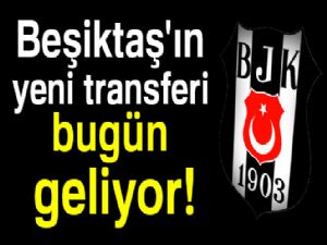 Domagoj Vida İstanbul'a geliyor