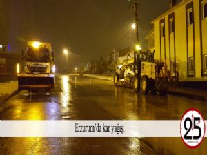   Erzurum'da kar yağışı 