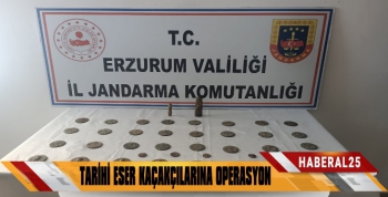 Jandarmadan Tarihi Eser Kaçakçılarına Operasyon