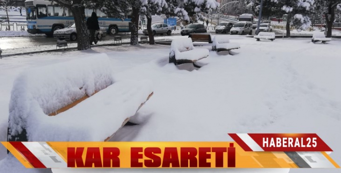 Kar Erzurum'u Esir Aldı