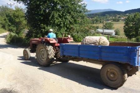 250 yıllık sütunlar kayıptı, ünlü ailenin villasında bulundu