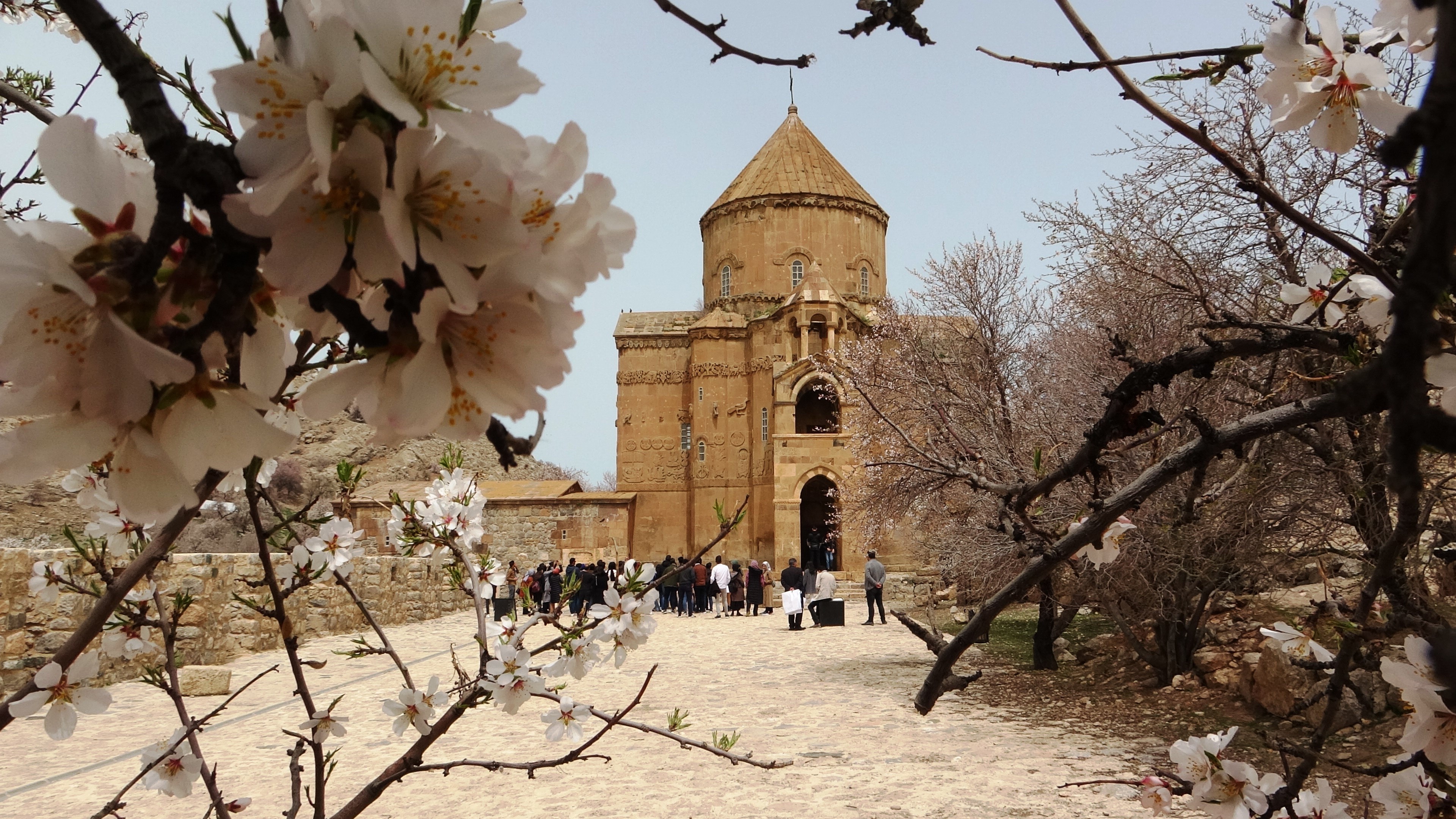 Akdamar Adası çiçek açtı