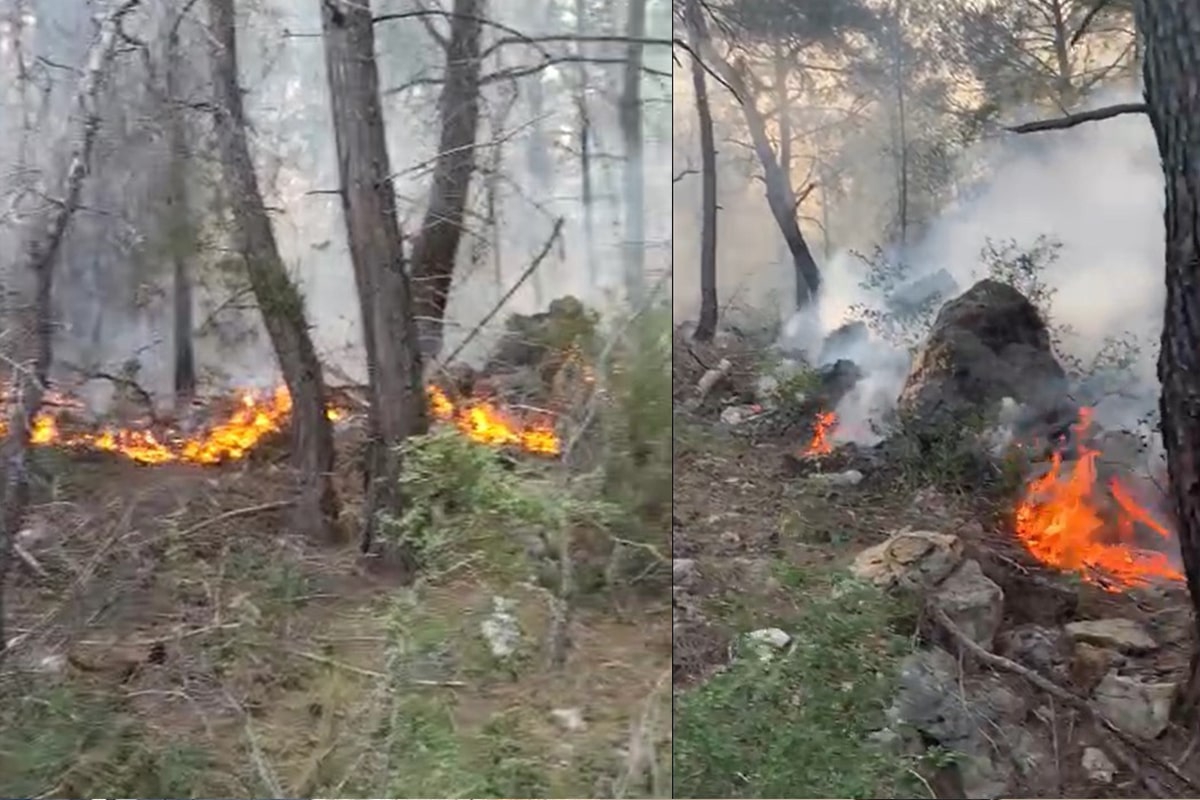 Alanya'da orman yangınında 5 dönüm alan zarar gördü