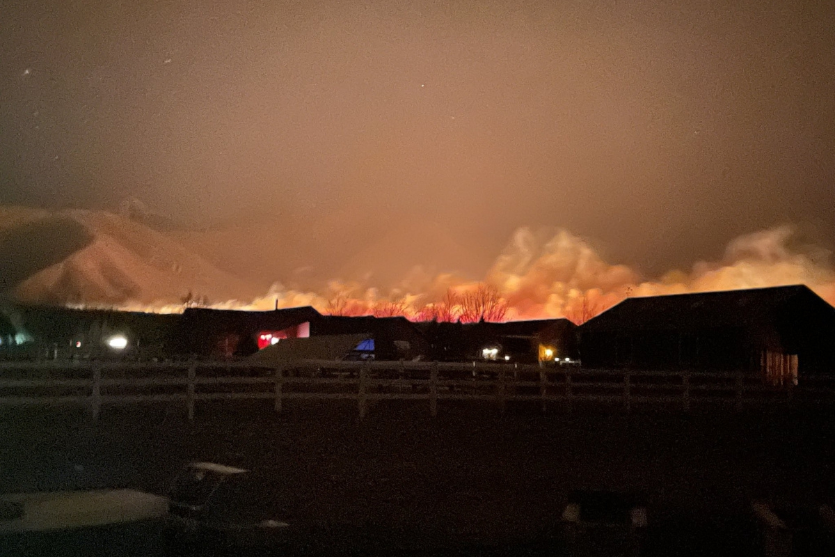 Arizona'da orman yangını şiddetli rüzgarın etkisiyle giderek yayılıyor