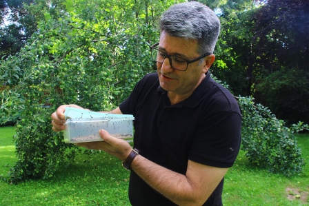 Bitki koruma profesörü, çayır tırtılı zararlısına karşı çözüm yolu üretti
