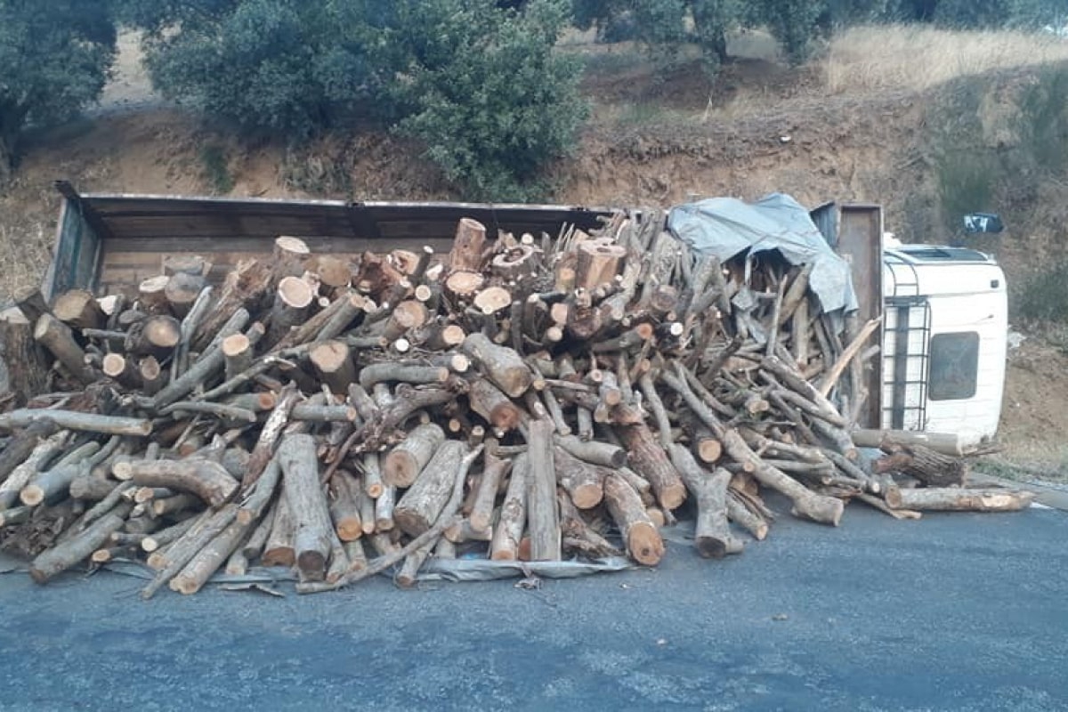 Freni boşalan kamyonun sürücüsü ölümden döndü