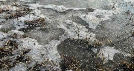 Hava sıcaklığının eksi 5'e düştüğü Erzurum buz tuttu